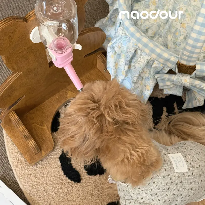 raised cat food station with water - Bear Pet Water Bottle Stand